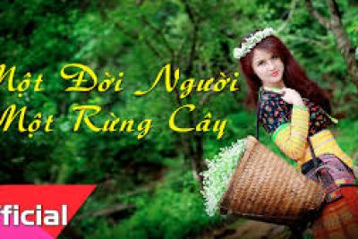Một đời người một rừng cây.